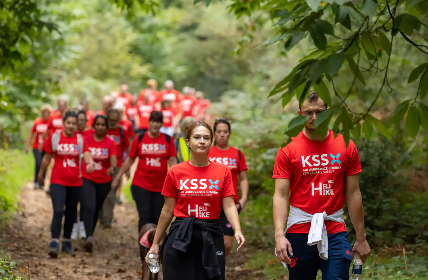 Walkers on a leafy woodland track