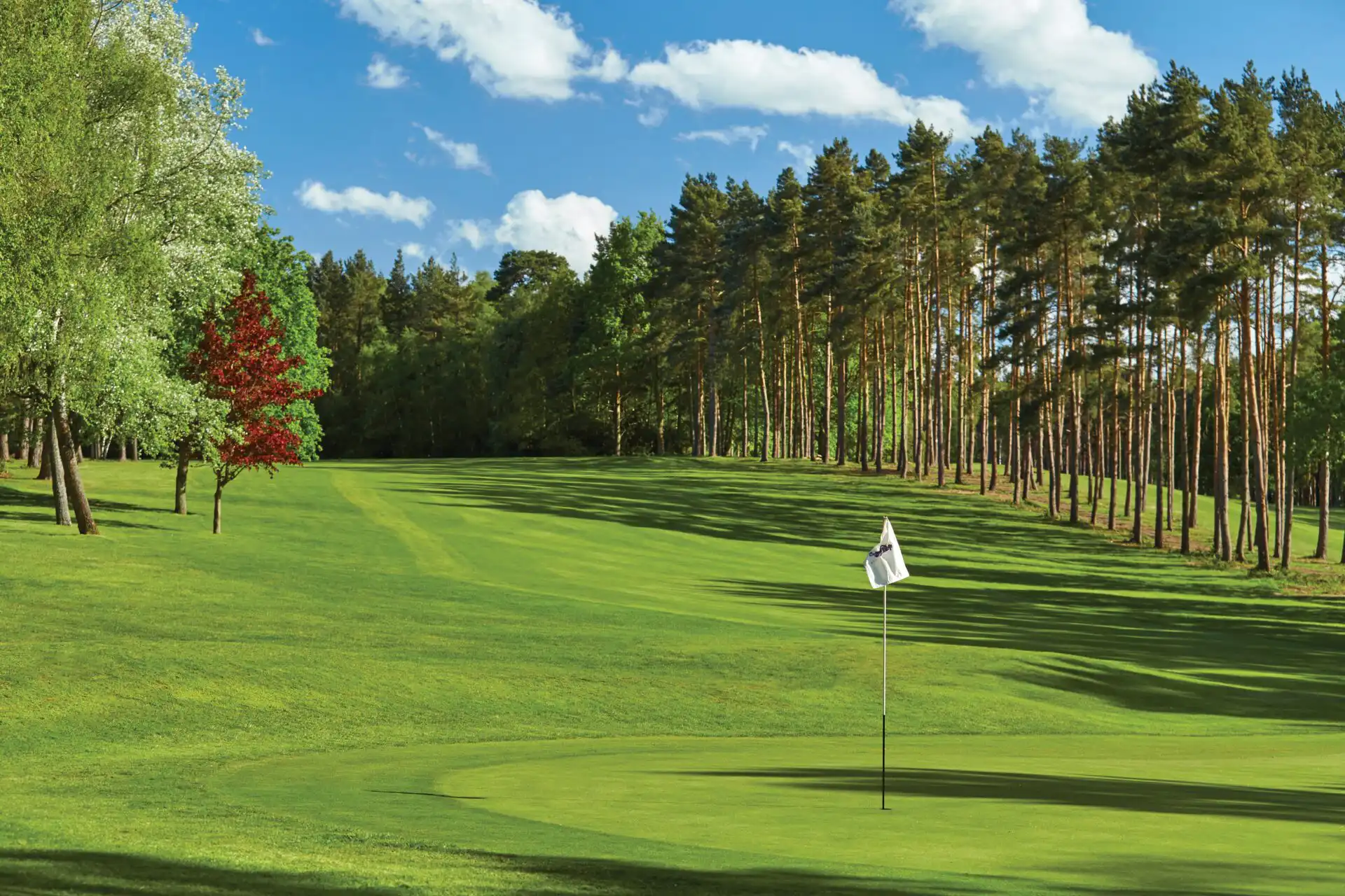 Longcross course at Foxhills
