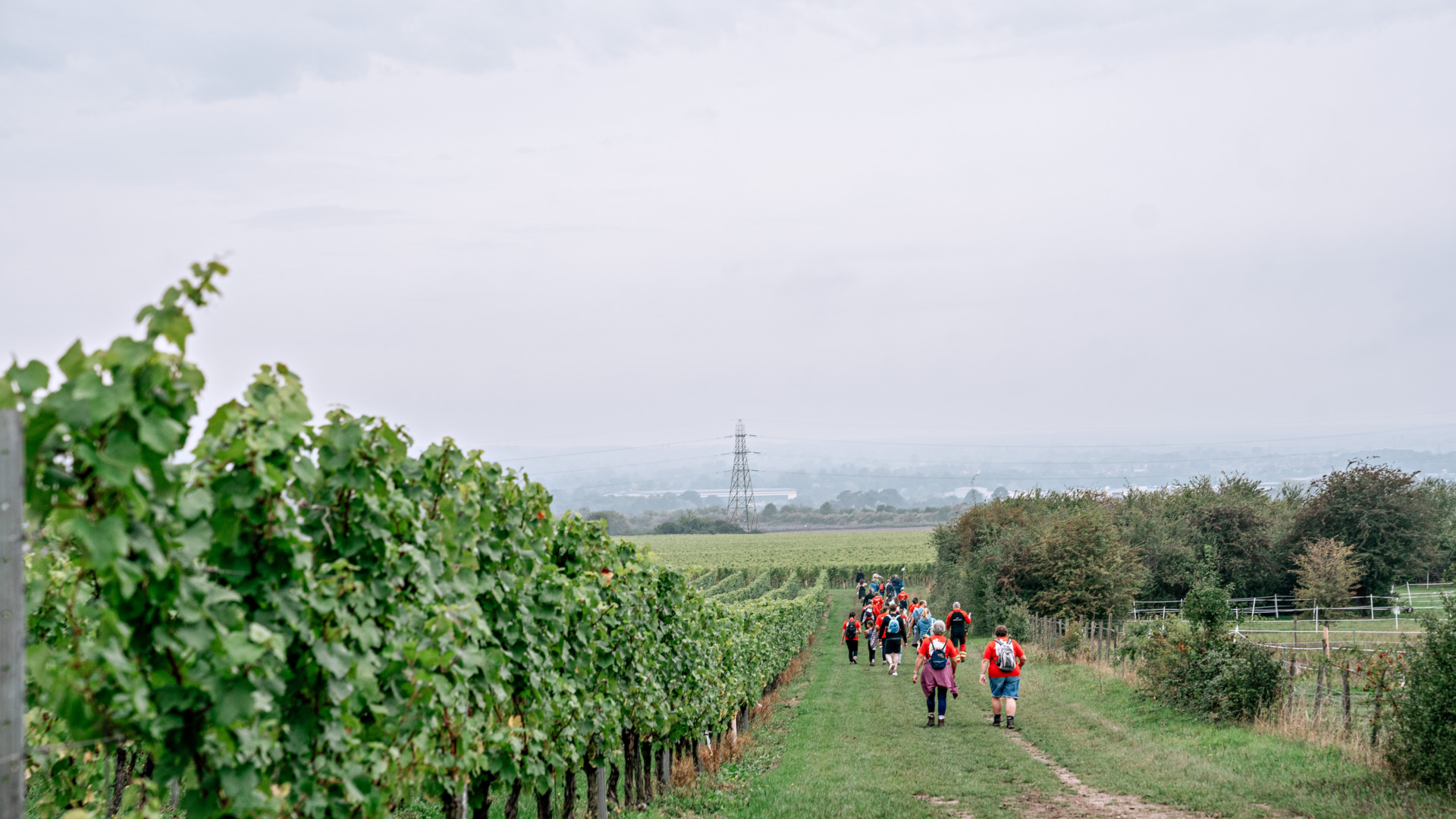 Here's What to expect